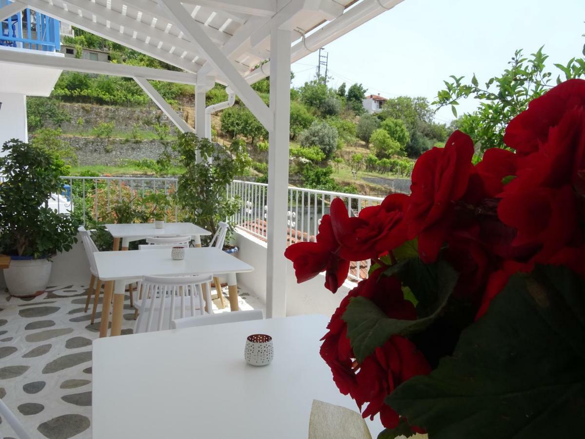 Galini Hellenic Hospitality Lejlighedshotel Patitírion Eksteriør billede